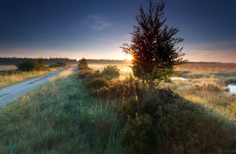 Drenthe Drenthe