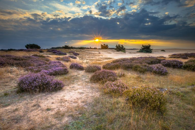 Veluwe