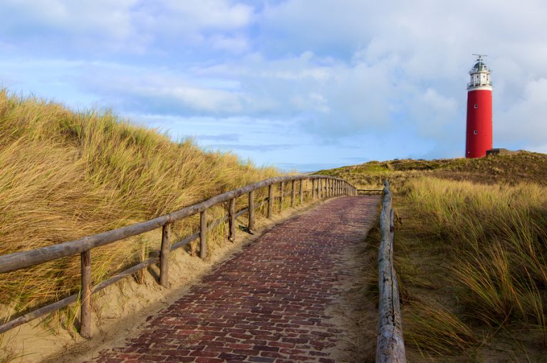 Texel Texel